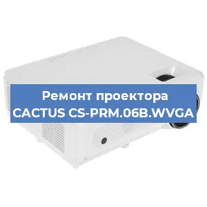 Замена лампы на проекторе CACTUS CS-PRM.06B.WVGA в Санкт-Петербурге